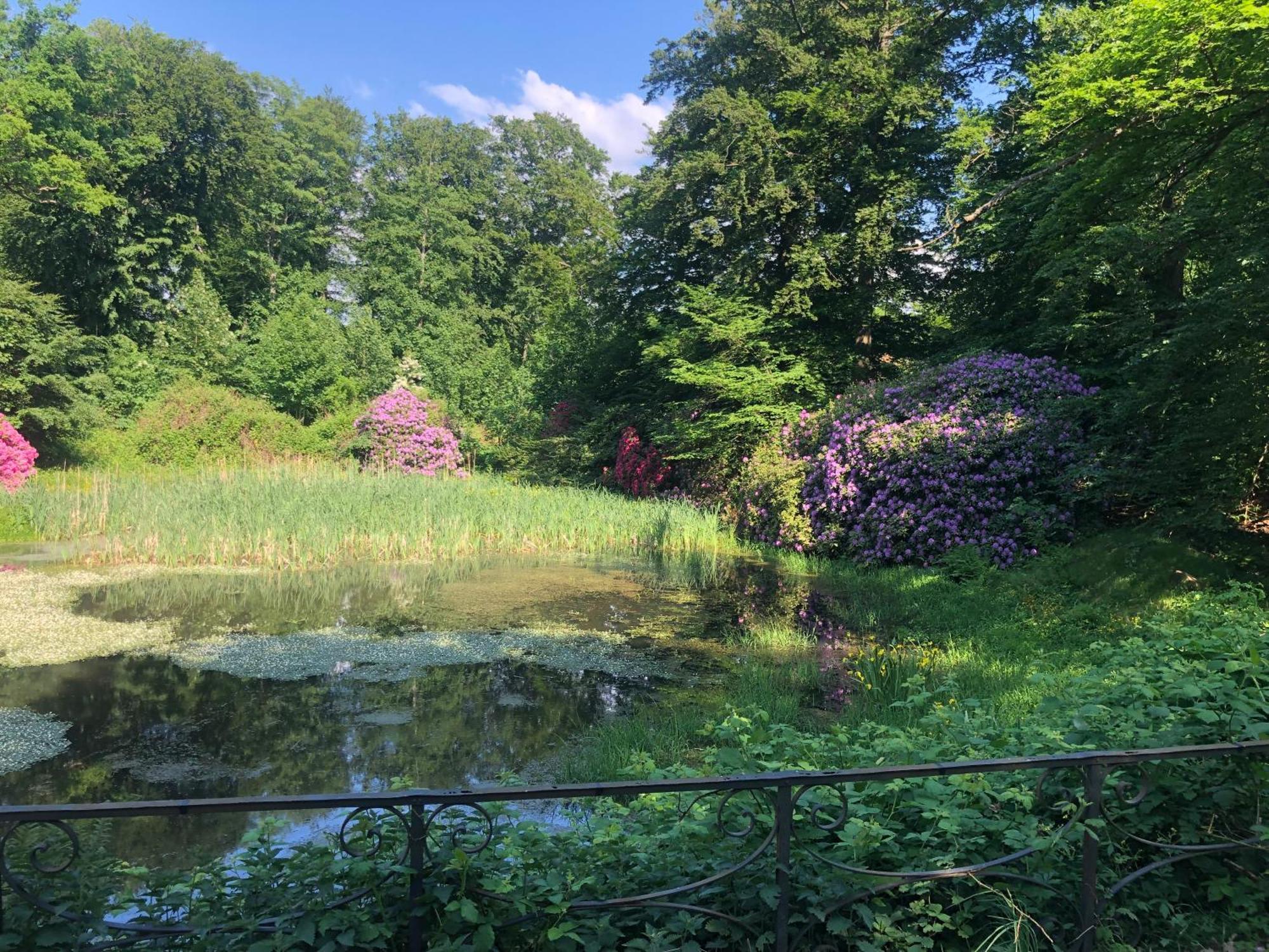 Vingardens Bed & Breakfast Helsingborg Exteriér fotografie